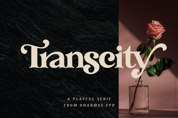 Transcity: A Serif Font That Commands Attention
