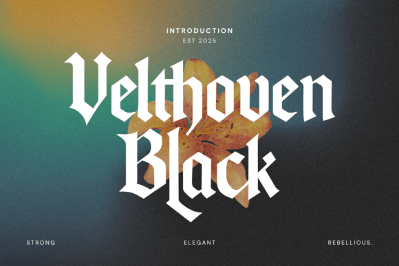 Velthoven Black: Where History Meets the Edge